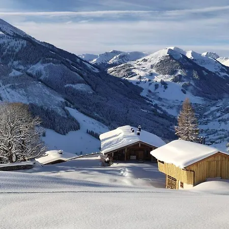 Chalet Sinnlehenalm *